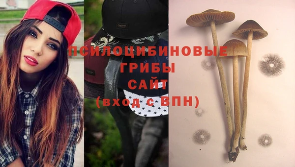 соль ск Гусев
